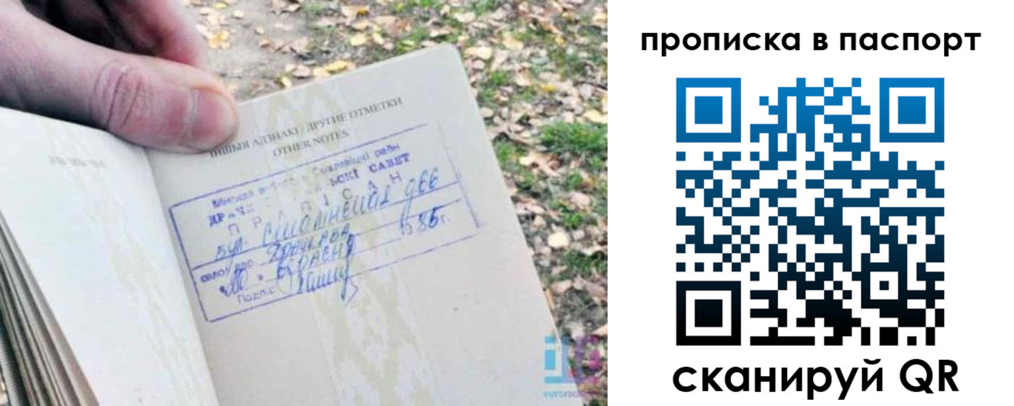 купить прописку в Чаплыгине